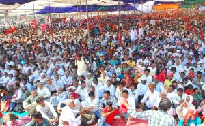 A Cross Section of the Crowd at the Rally