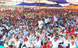 A Cross Section of the Crowd at the Rally